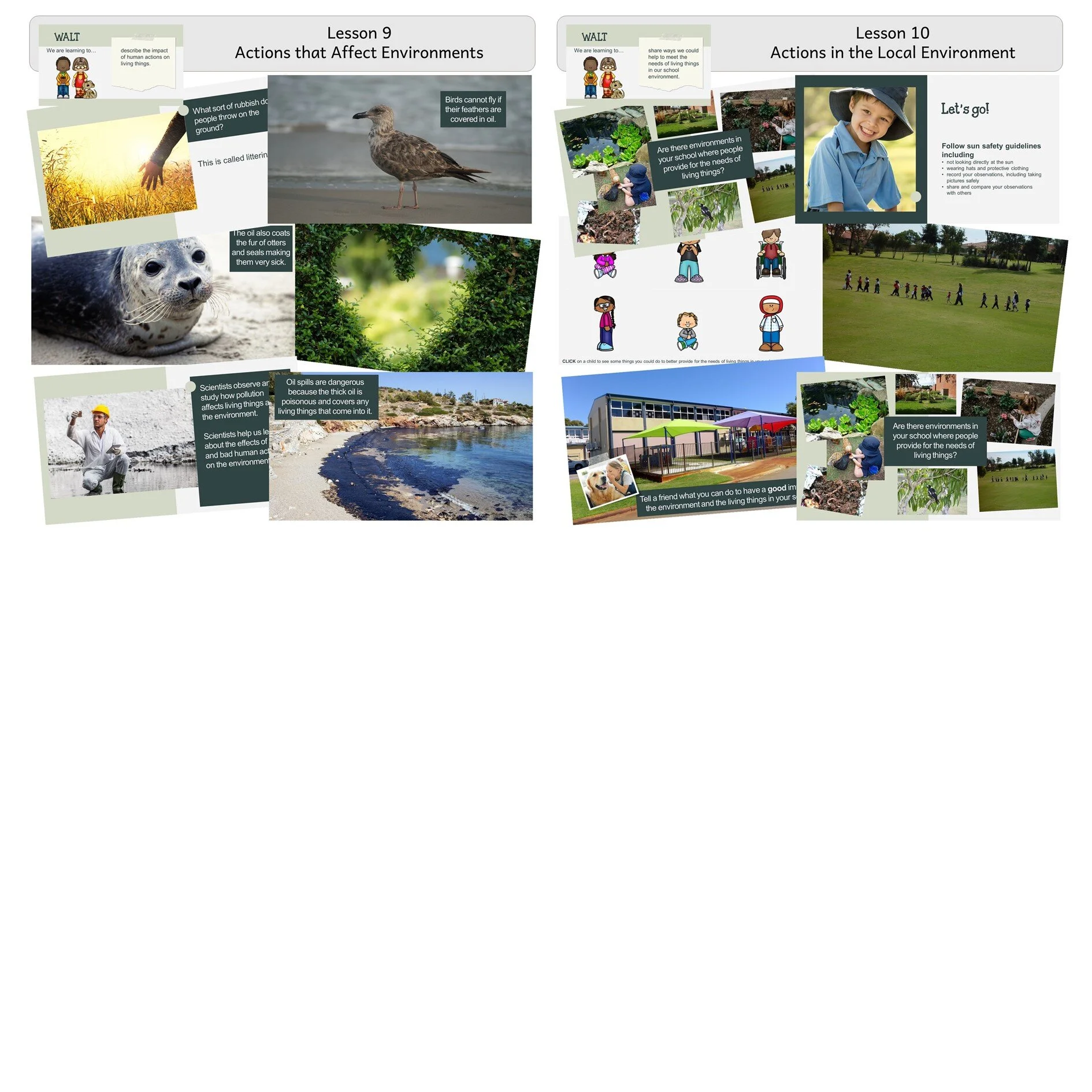 Living Things Lessons 3.JPG