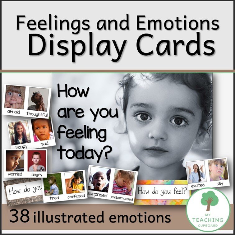 Feelings and Emotions Display Cards