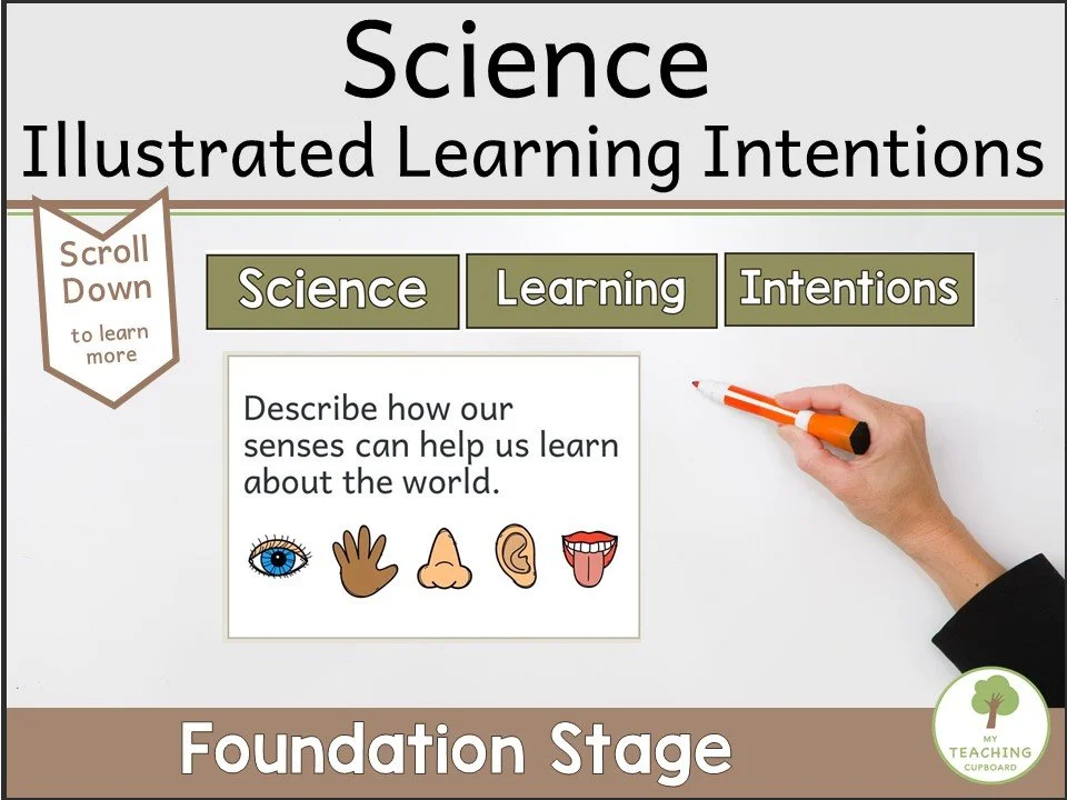 science-learning-intentions.JPG