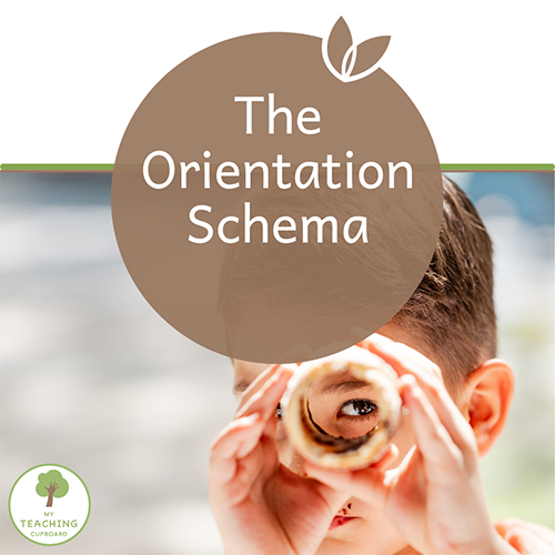 The Orientation Schema 