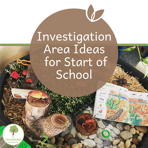 Investigation Area Ideas for the Start of School