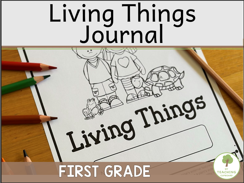 living-things-worksheets.PNG