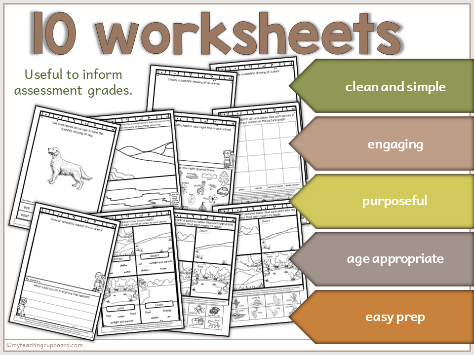 grade-one-science-worksheets.PNG