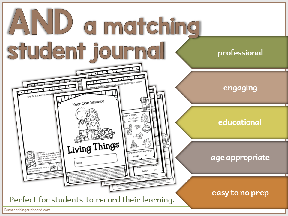 living-things-worksheets.PNG