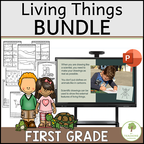 Year One Living Things Science Unit