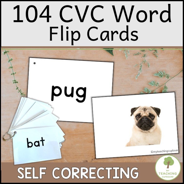 CVC Word Cards with Matching Real-life CVC Images