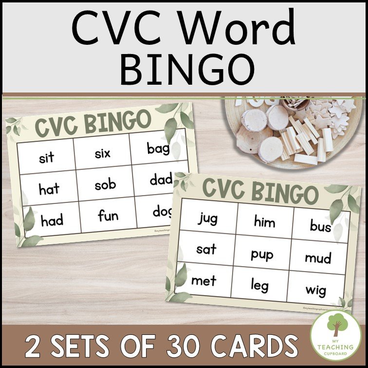 CVC Words Bingo Game