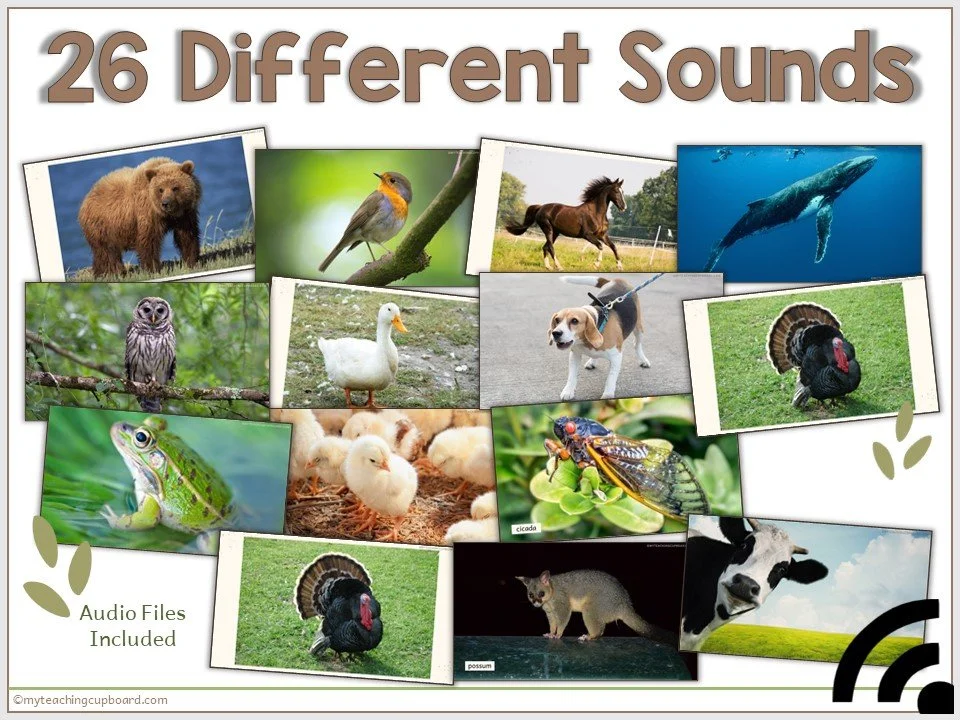 animal-sounds.JPG