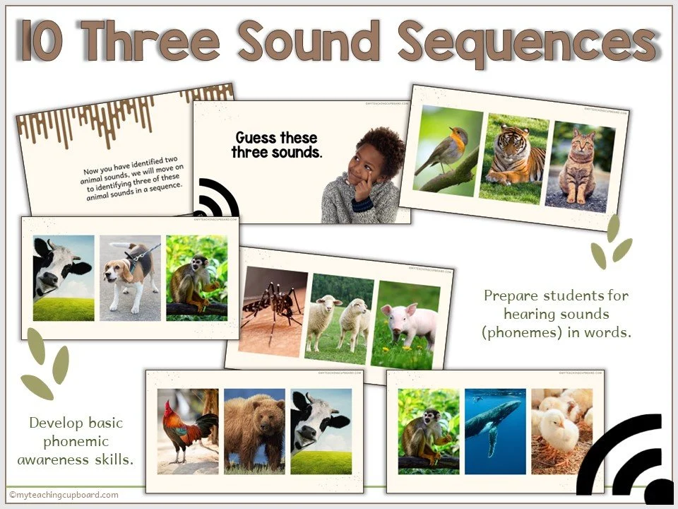 phonemic-awareness.JPG