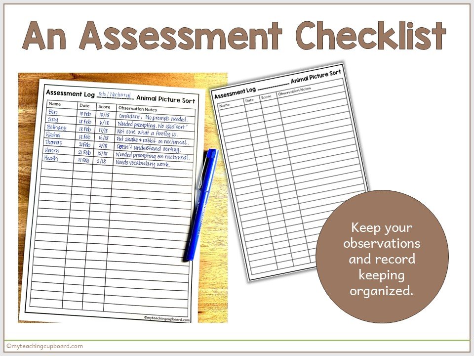 sorting-assessment-checklist.JPG