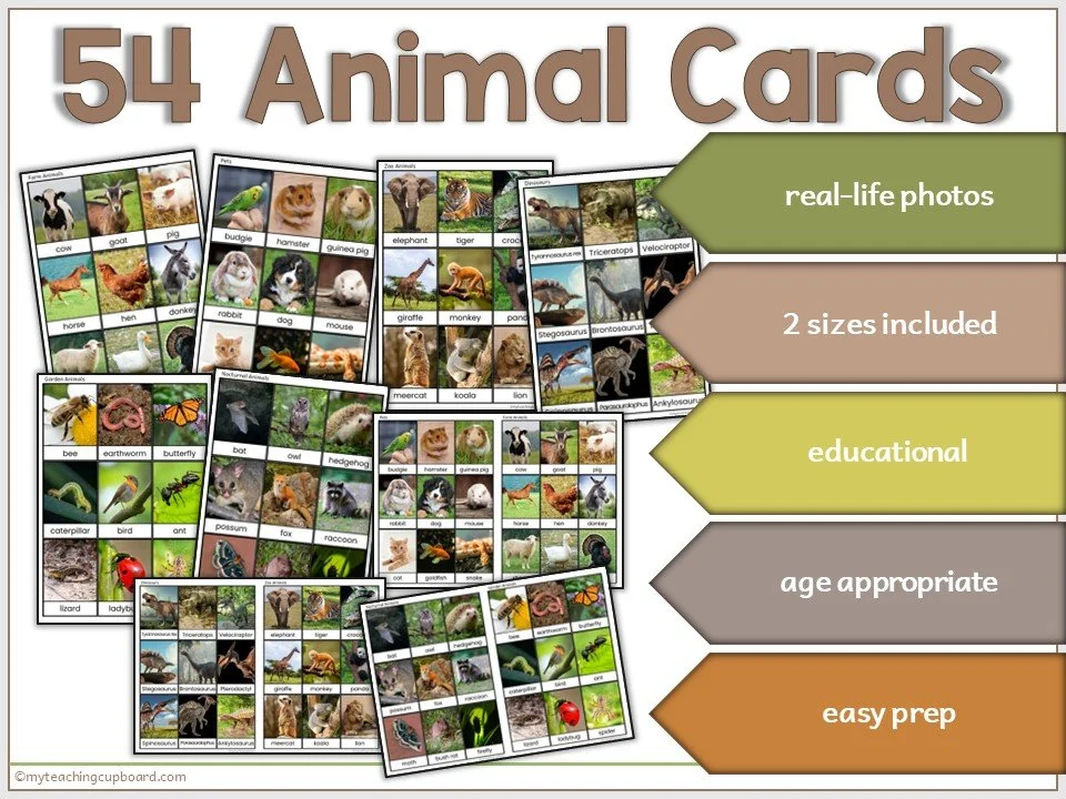 animal-picture-cards.JPG