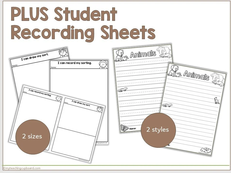 student-sorting-recording-sheets.JPG