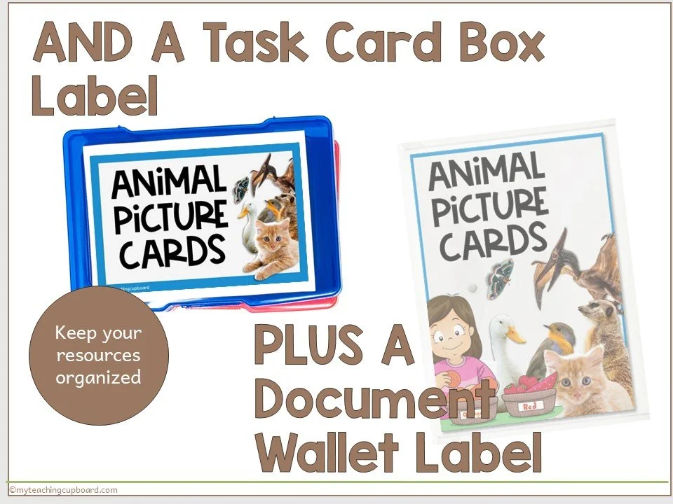 printable-animal-vocabulary-cards.JPG
