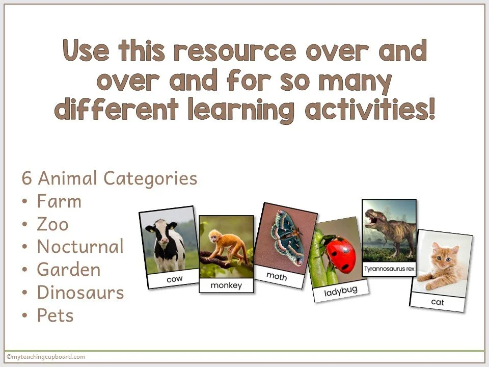 animal-vocabulary-cards-with-pictures.JPG