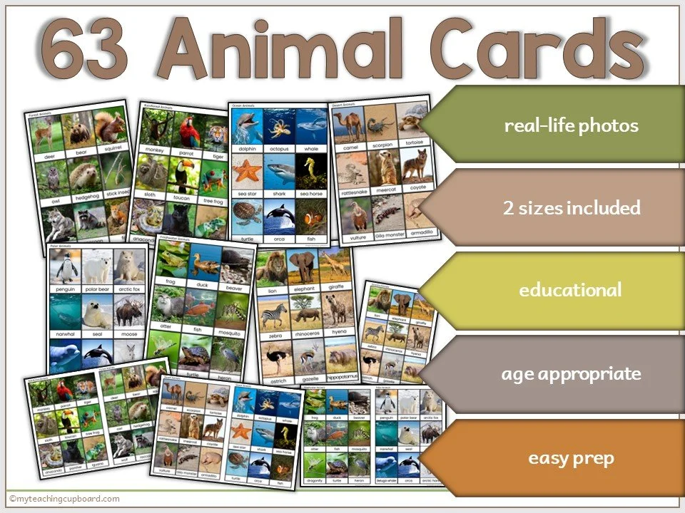 animal-picture-cards.JPG