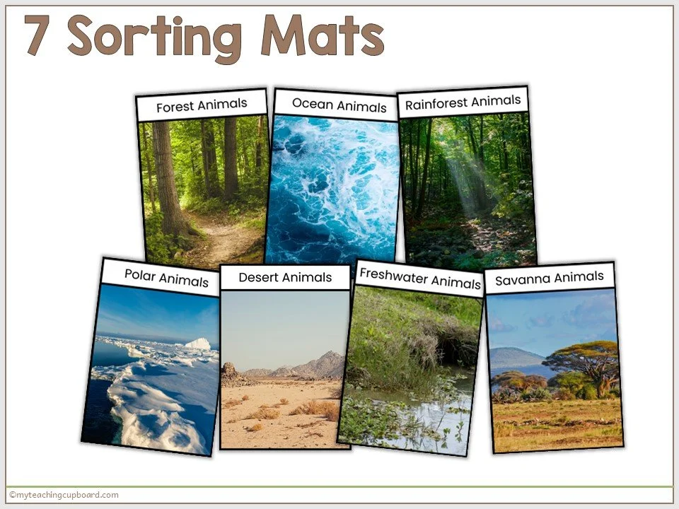 animal-habitat-sorting-mats.JPG