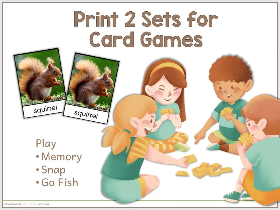 animal-habitat-card-game.JPG