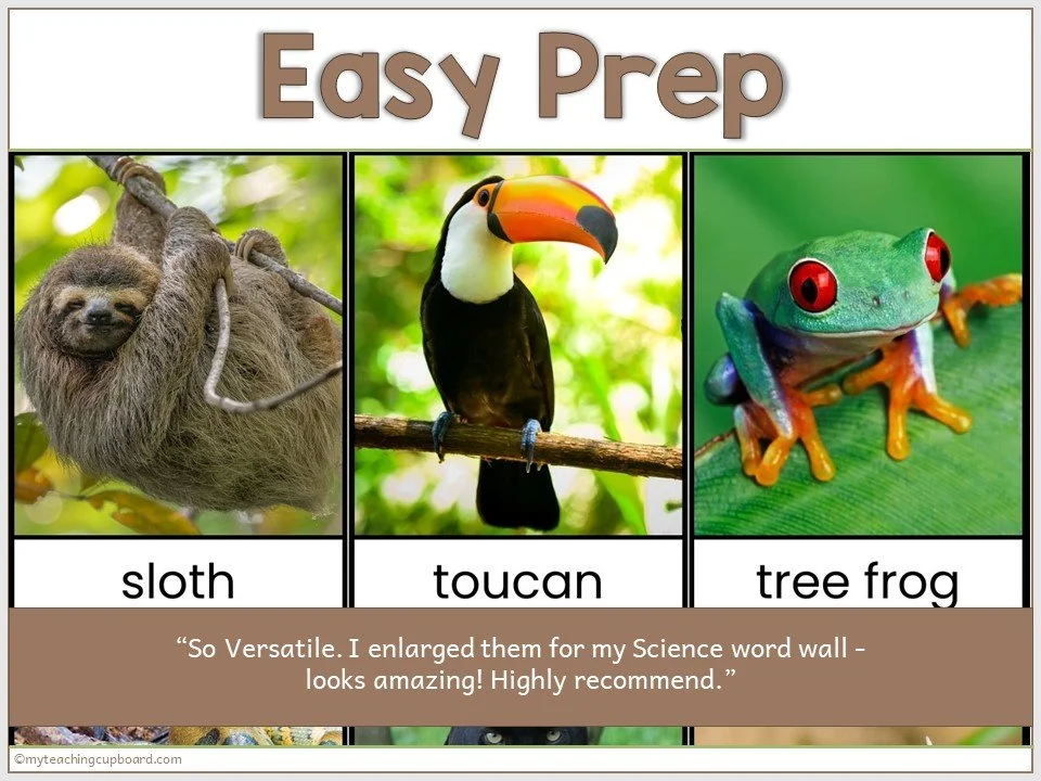 animal-habitat-posters.JPG