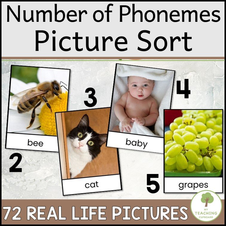 Counting Phonemes Picture Sorts