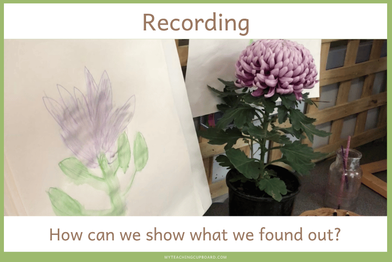recording questions in science