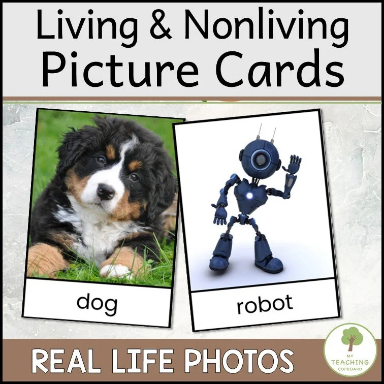 Pictures of Living and Nonliving Things