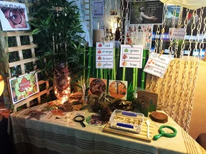 Science Provocations – Living Things — My Teaching Cupboard