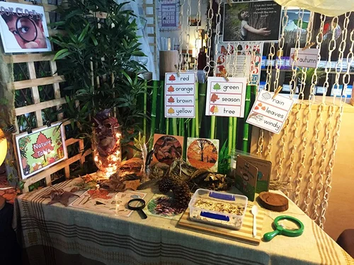 Science Provocations – Living Things — My Teaching Cupboard