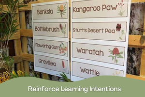 Science Provocations – Living Things — My Teaching Cupboard