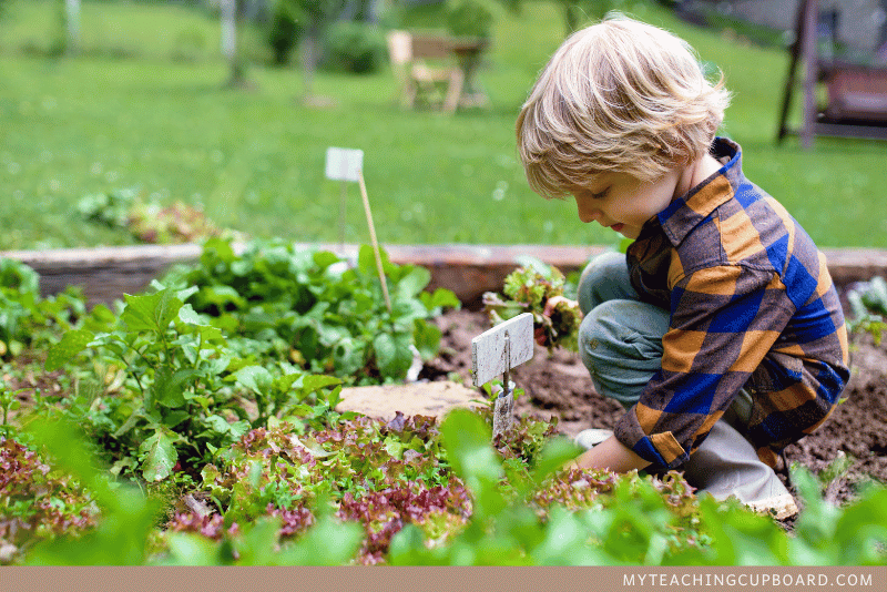 gardening science inquiry