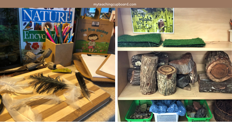 Natural Loose Parts — My Teaching Cupboard