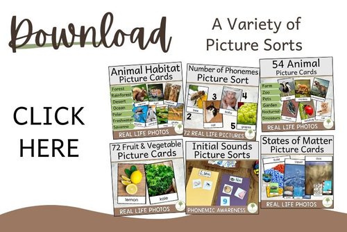 Sorting Pictrogram 6 Ways to Use Picture Sorts in the Classroom — My Teaching Cupboard