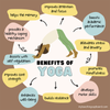 10 Classroom Yoga Poses to Help Students Focus and Relax — My Teaching ...