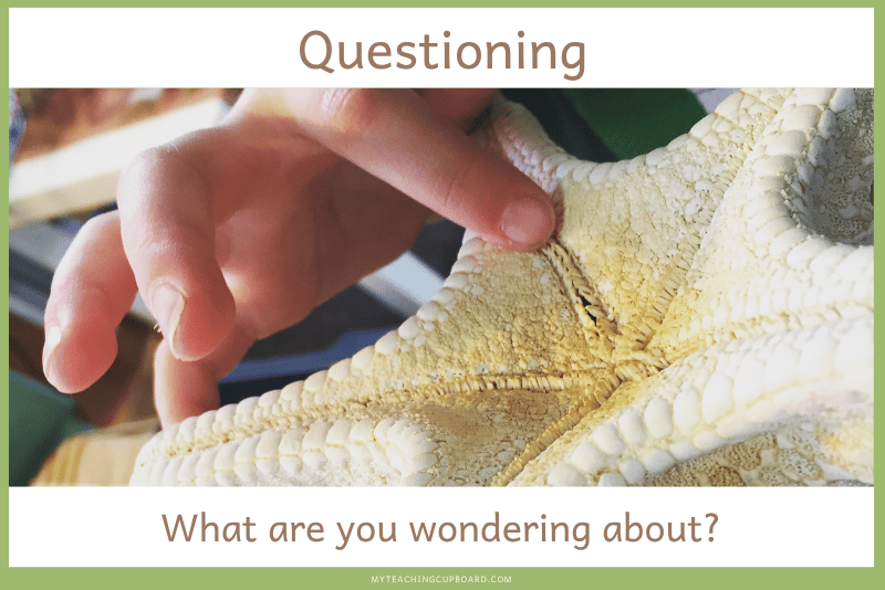 open ended questioning in science