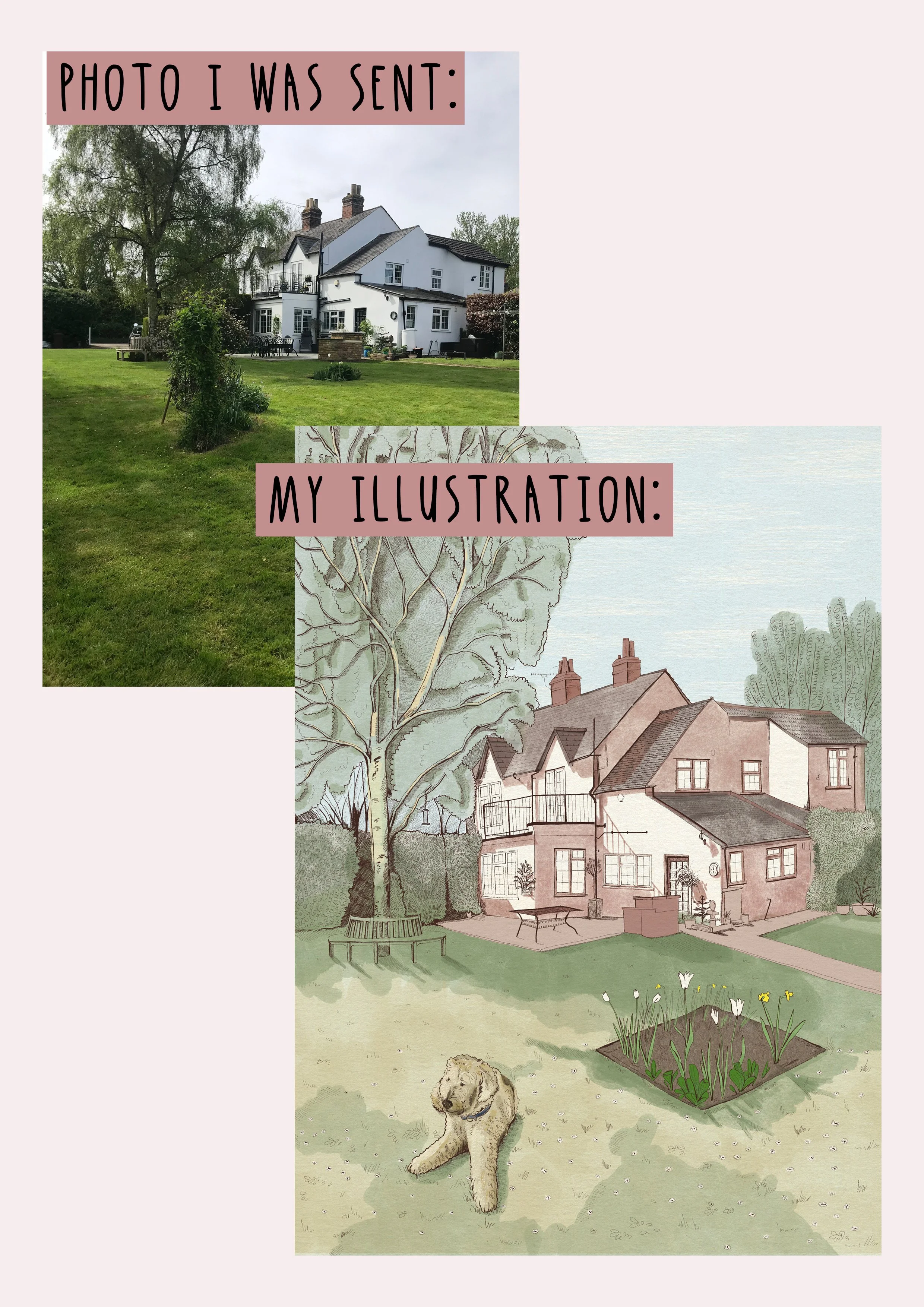 for website copy.jpg