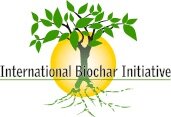 IBI logo.jpg