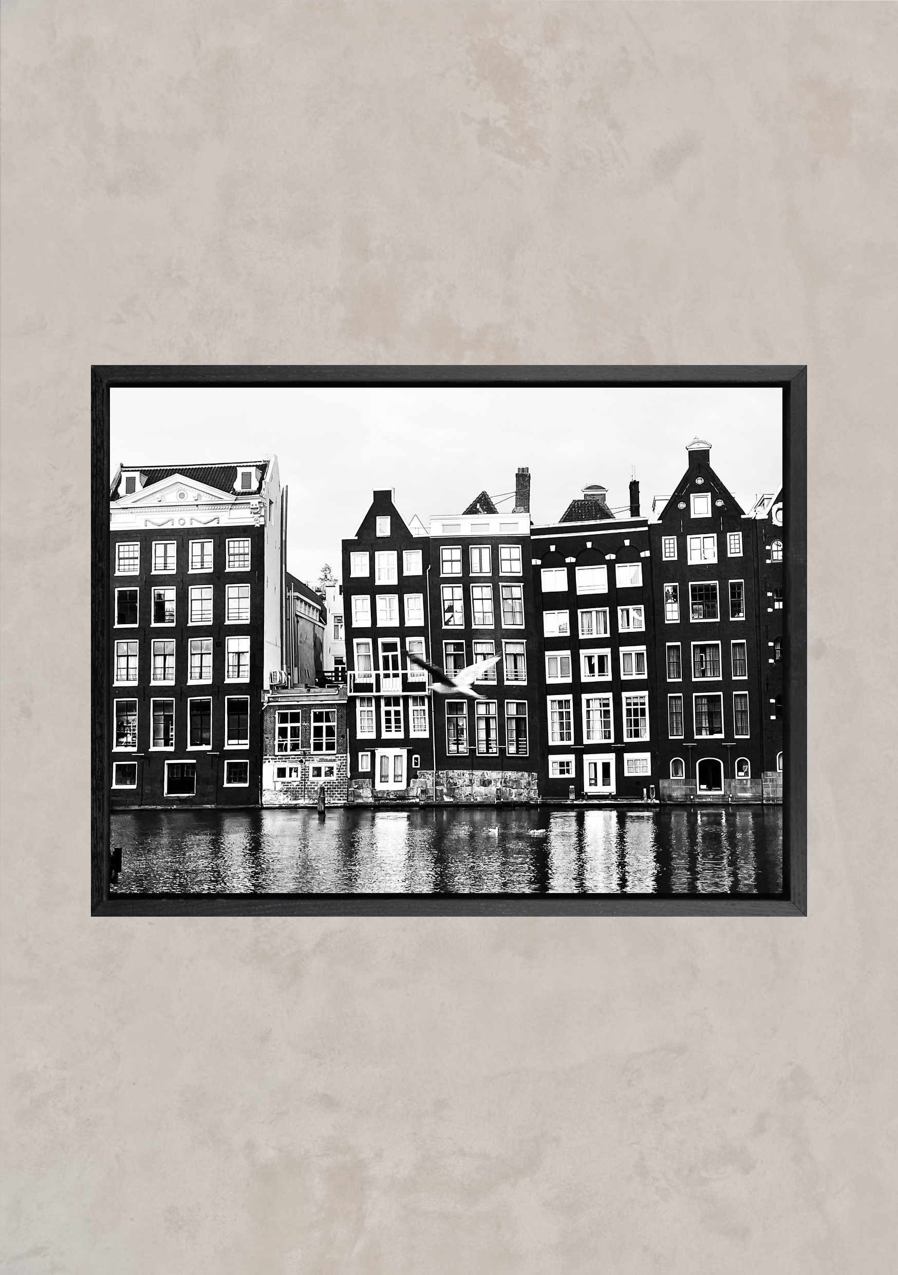 The Amsterdam Harbour