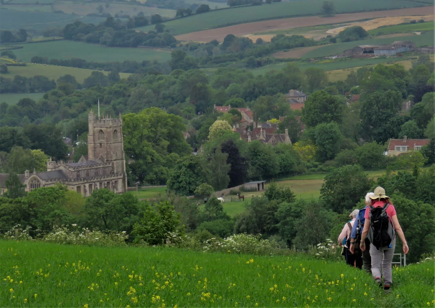 C+ walk - Lansdown