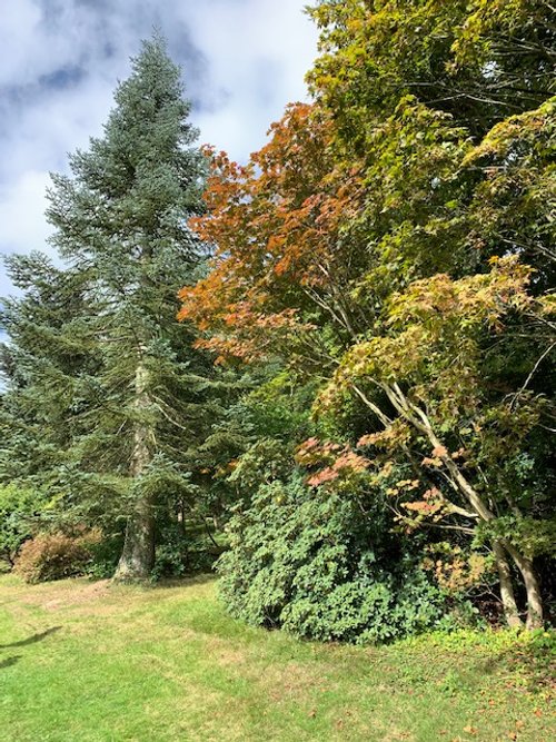 Wednesday walk - Bath Spa to Keynsham