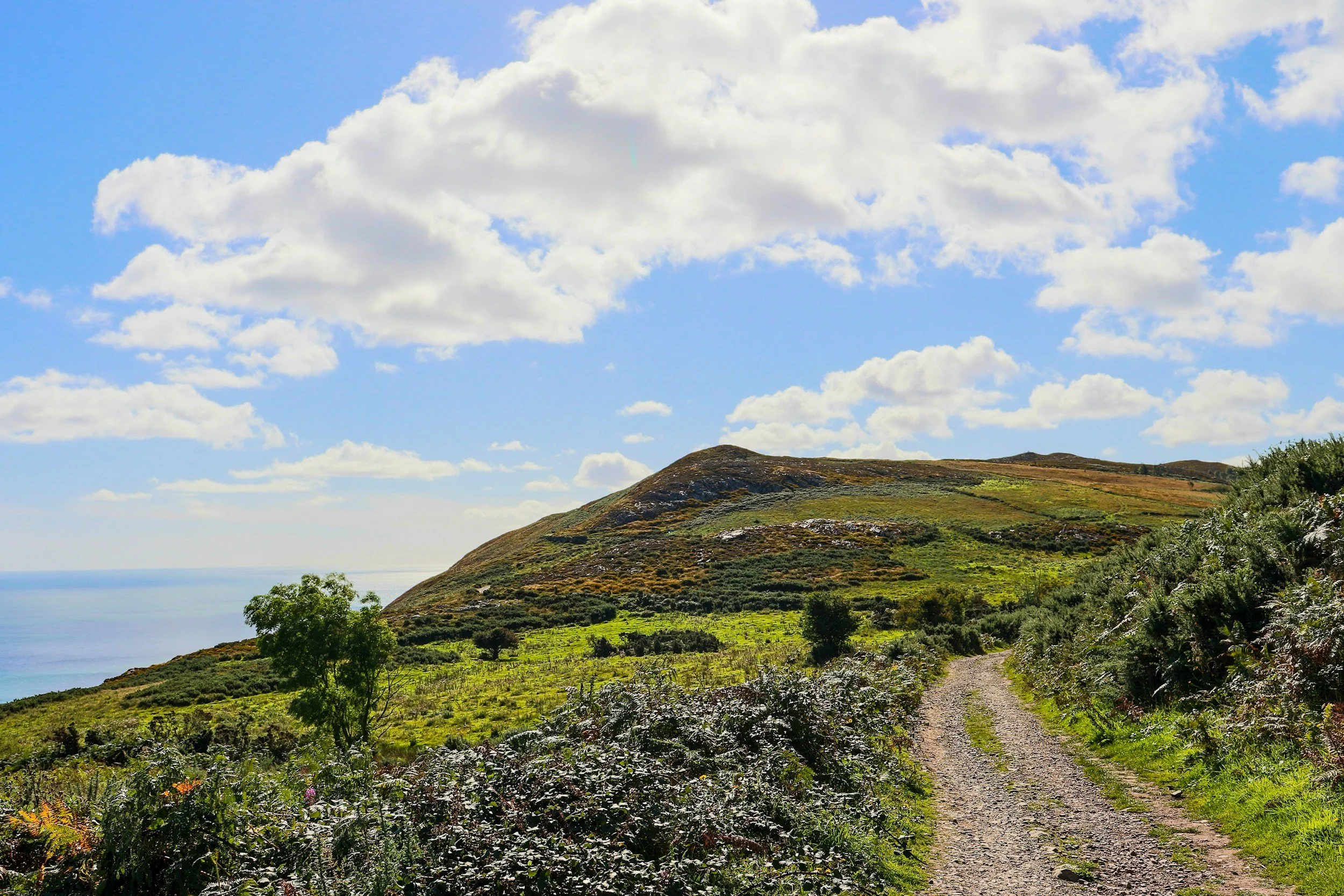 The Old Ways: A Journey on Foot – Robert Macfarlane/Hamish Hamilton (2012)