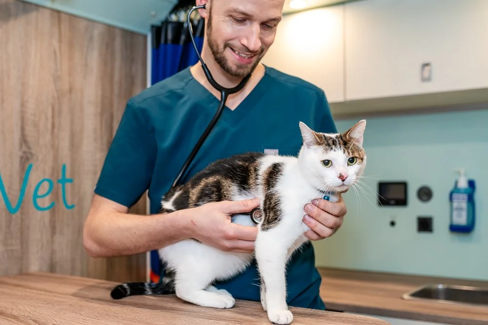 My Visit Vet (103 of 114).jpg