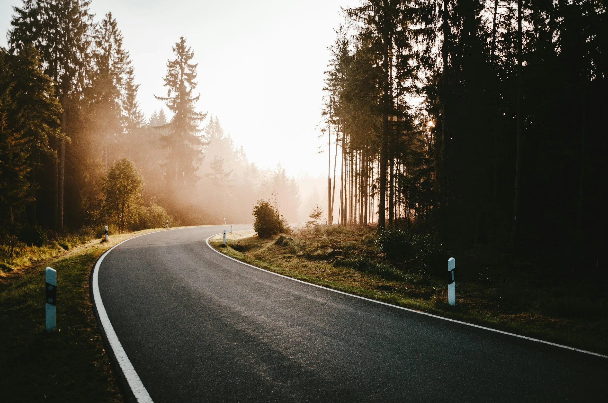unsplash-image-UmM372f0yuU.jpg