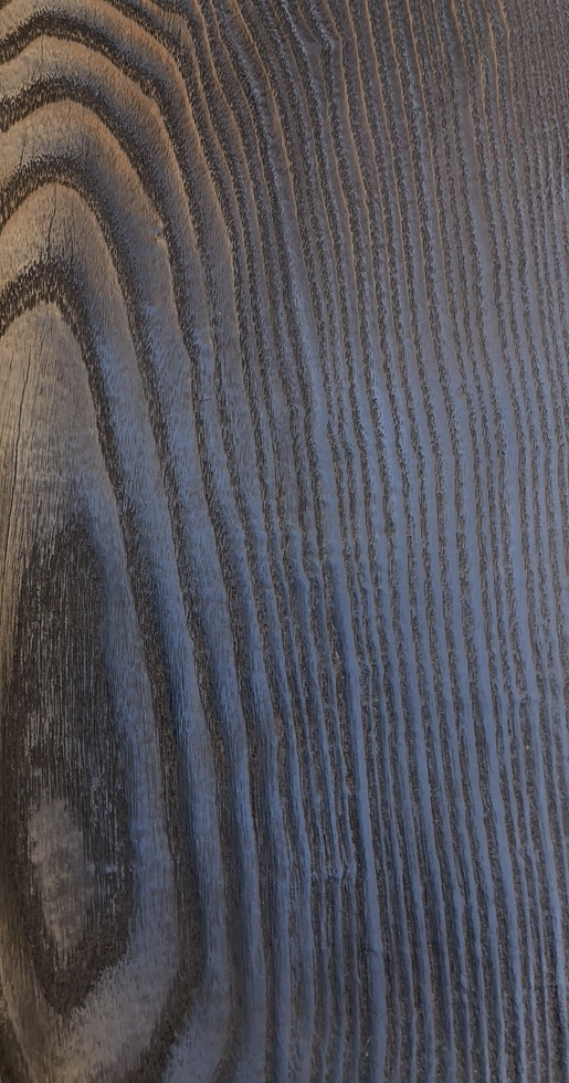 Mollusc 6 close up.png