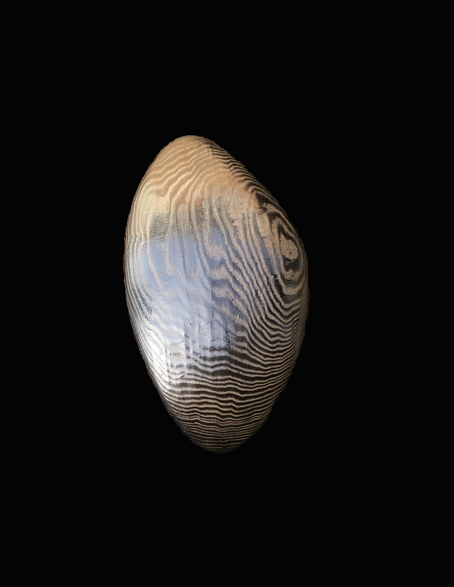 Mollusc 7 -  copy.png