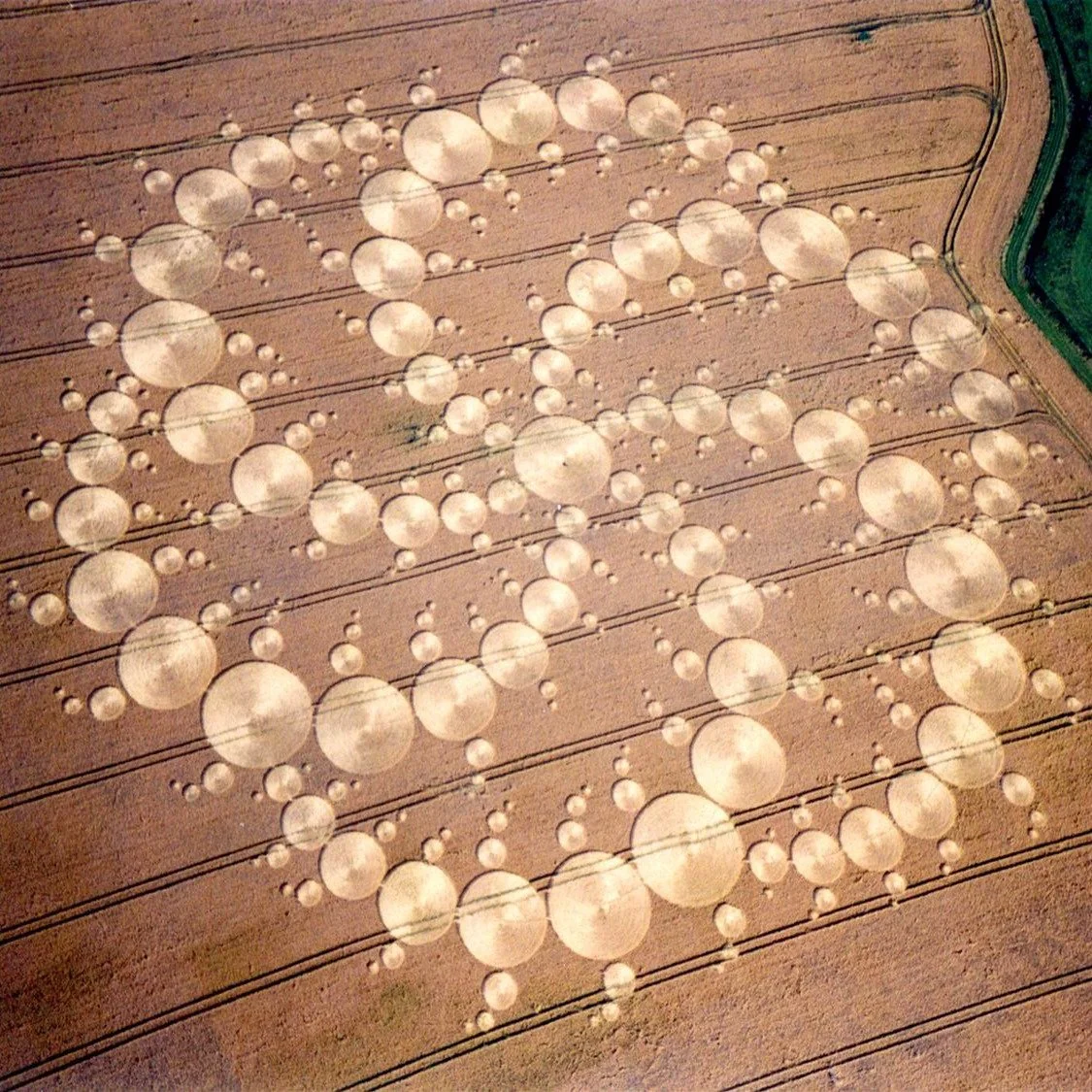 A NIGHT OF CROP CIRCLING : THE FESTIVAL EDITION