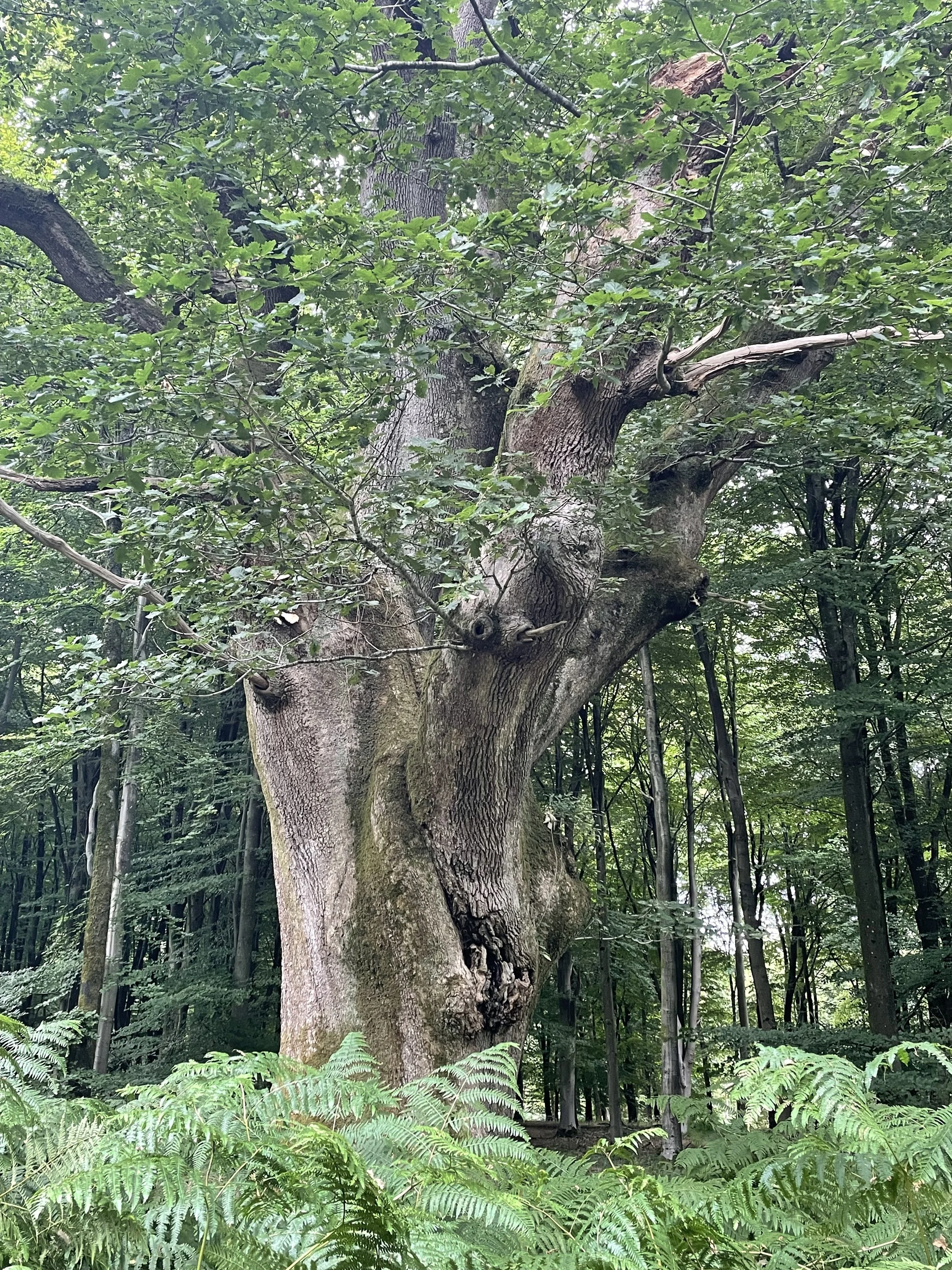 WILTSHIRE WEEK 22-28 September 2025