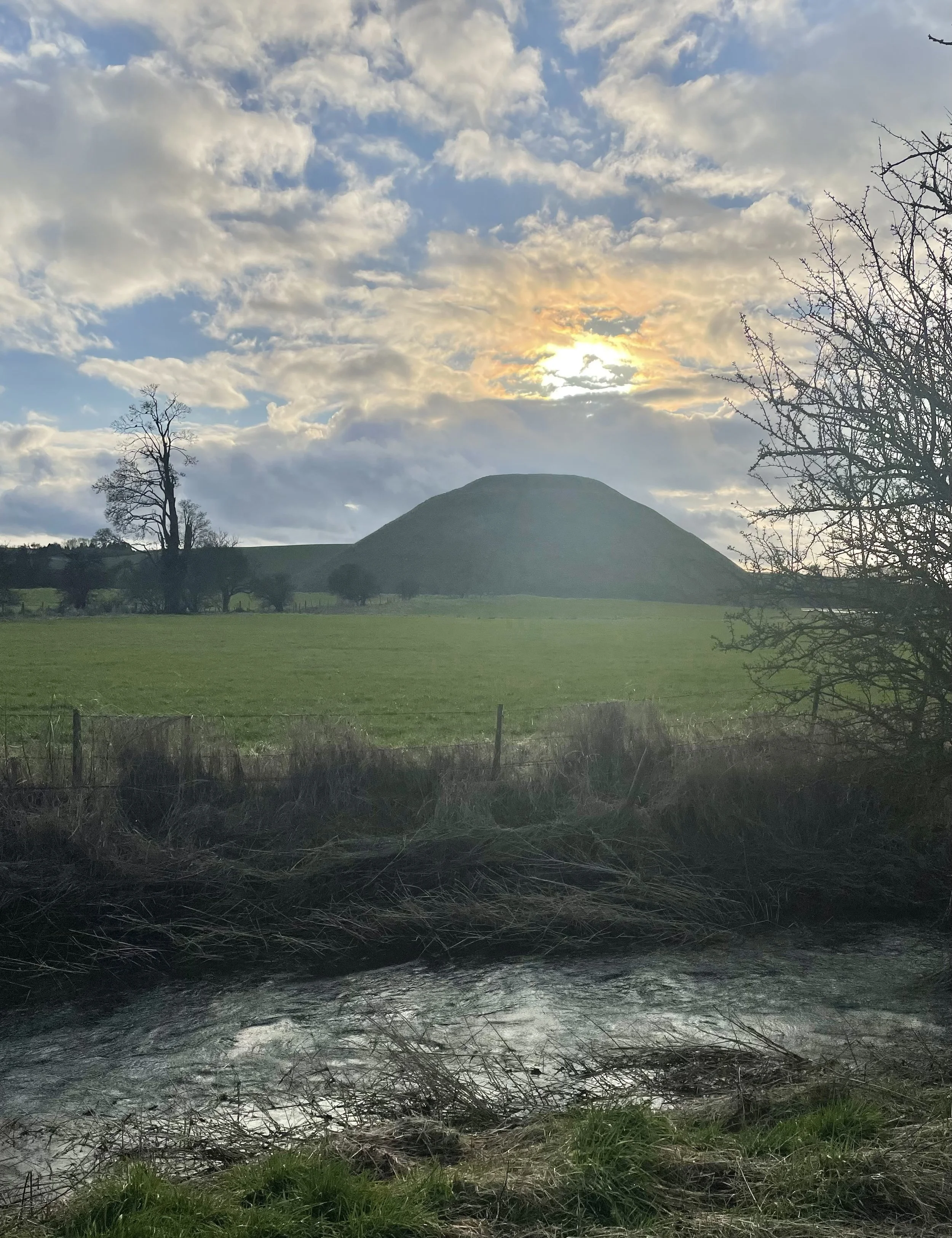 WILTSHIRE WEEK 17-23 Feb 2025