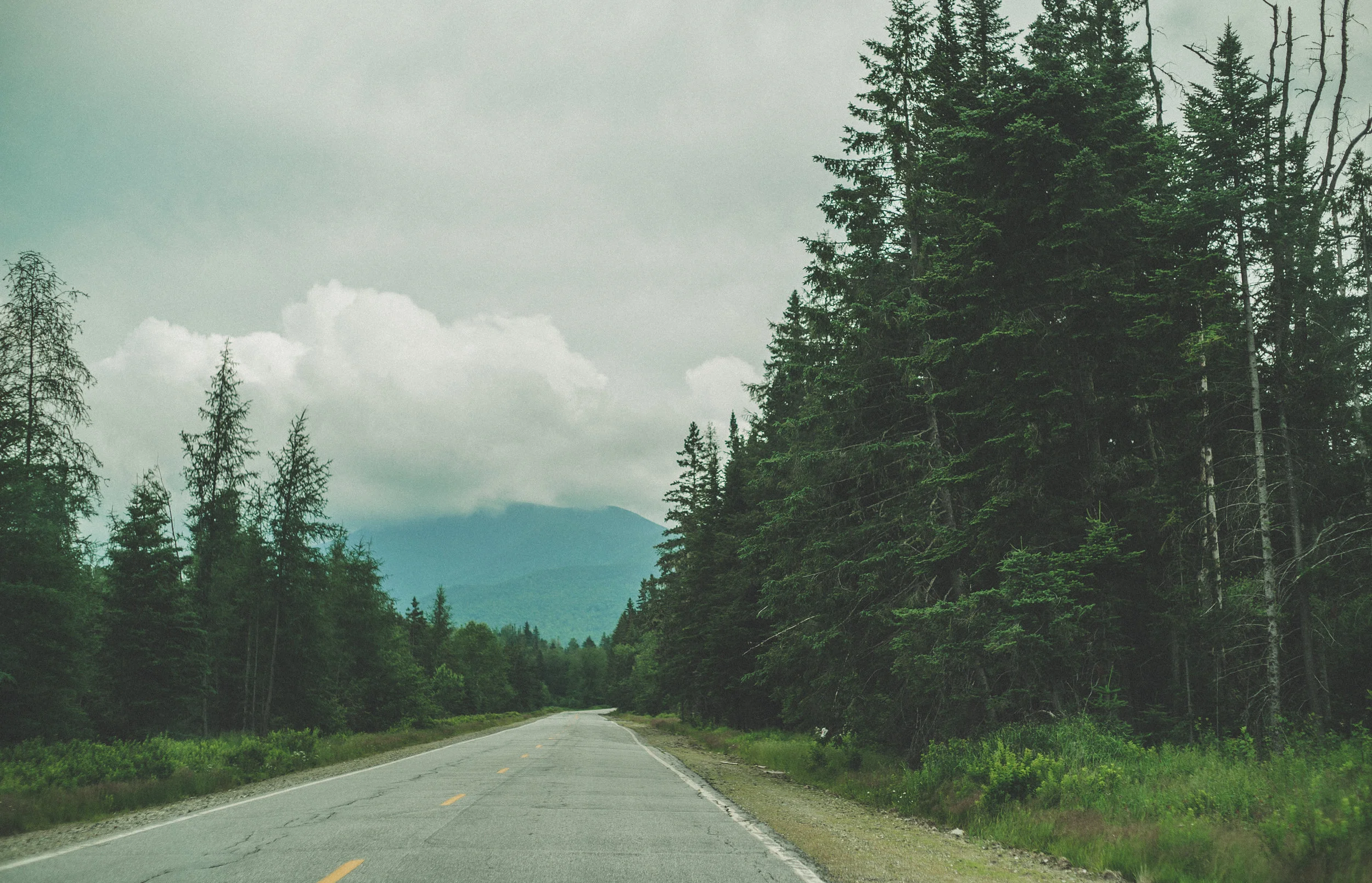 road (1 of 1) copy.JPG