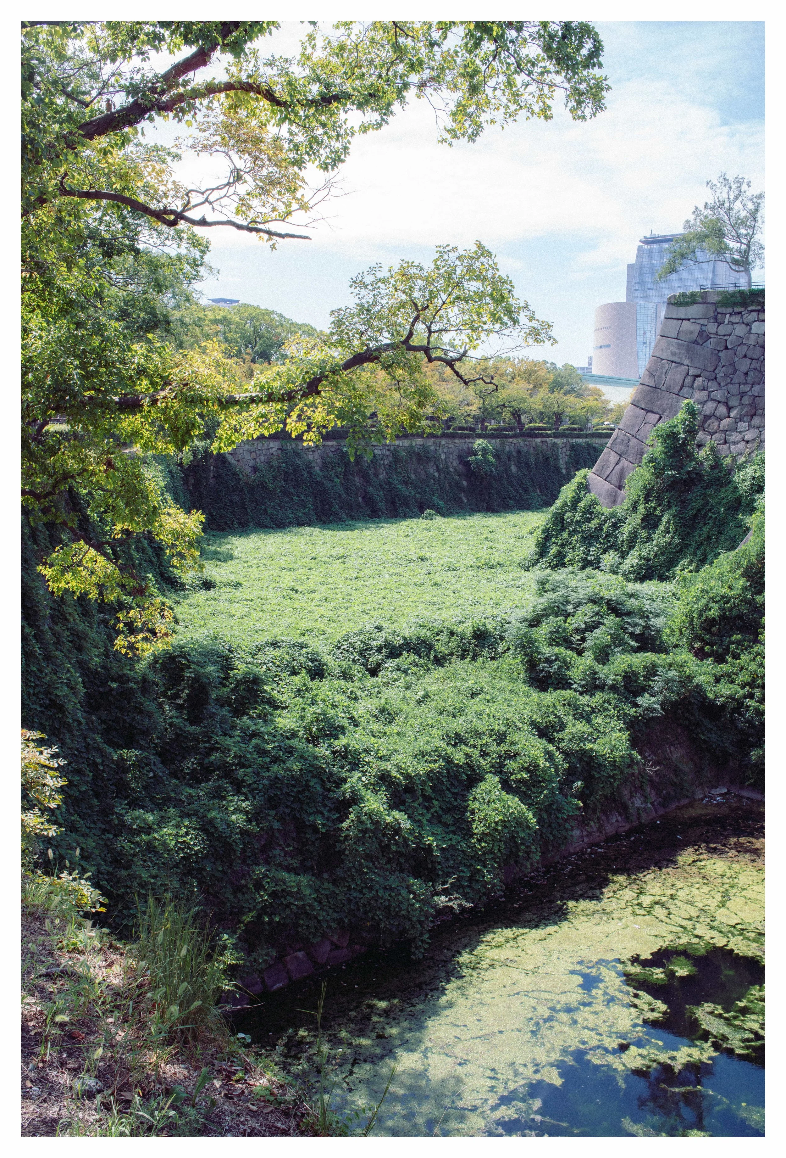 09-26-23 Colored-3 copy.jpeg