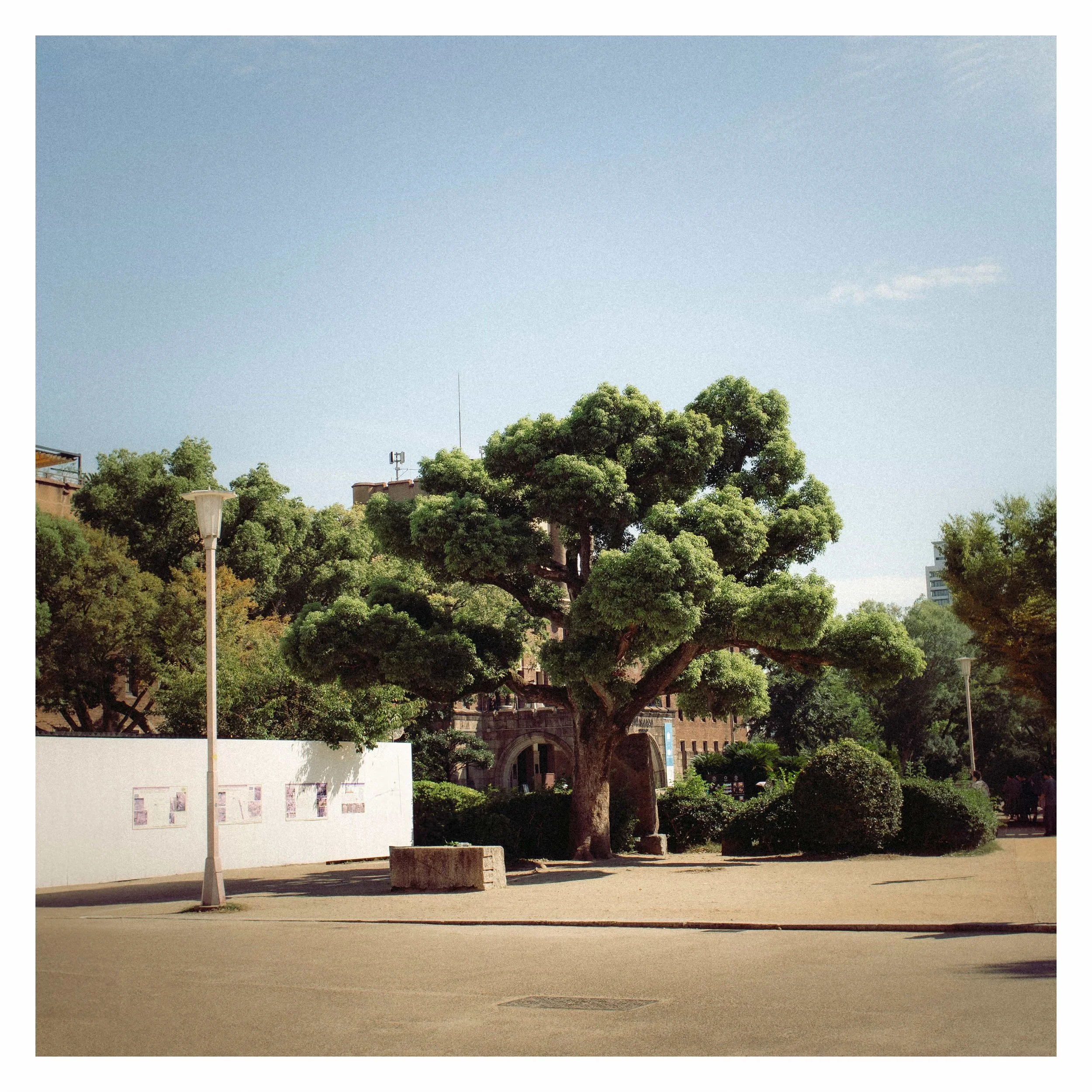 09-26-23 Colored-11 copy.jpeg