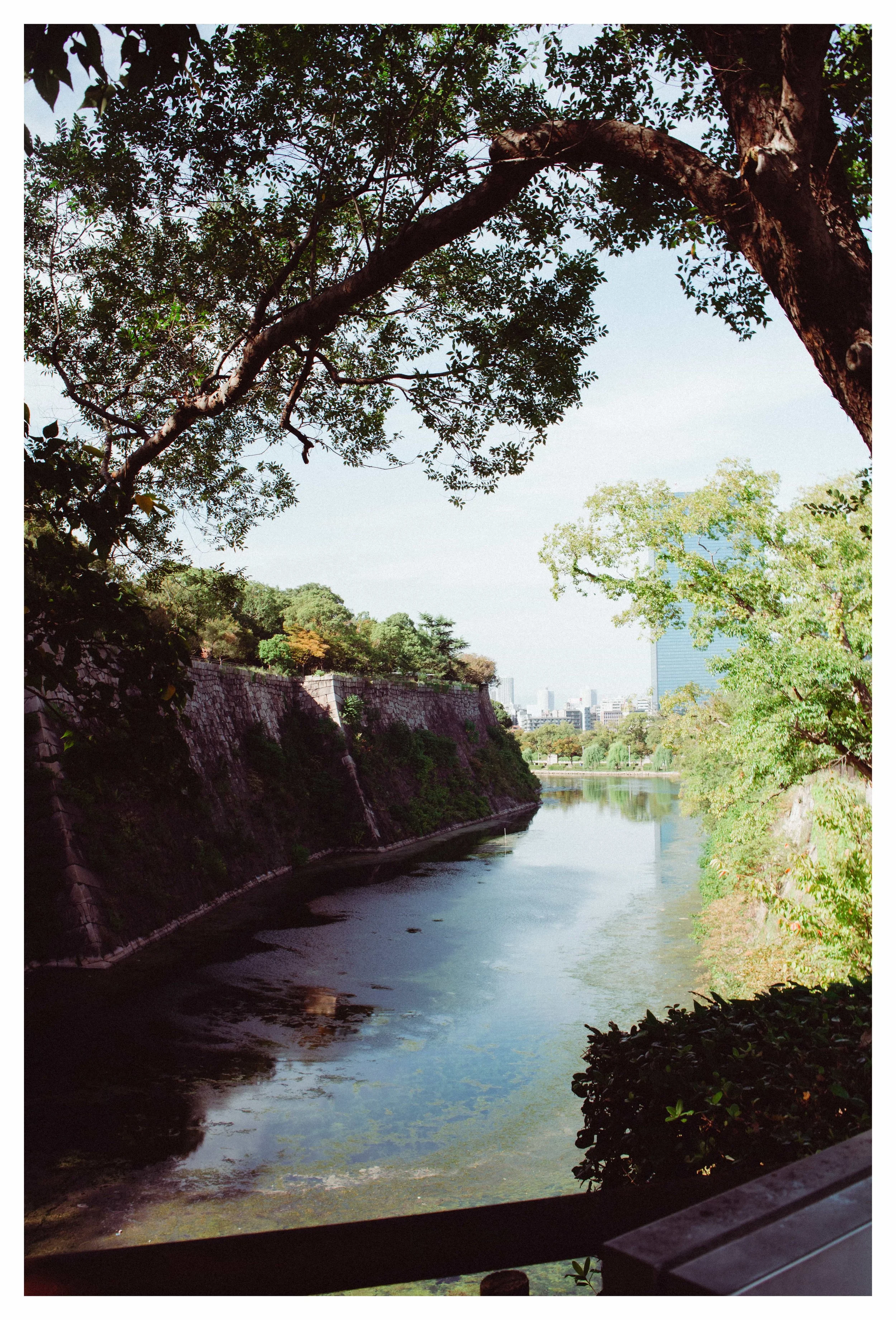 09-26-23 Colored-15 copy.jpeg